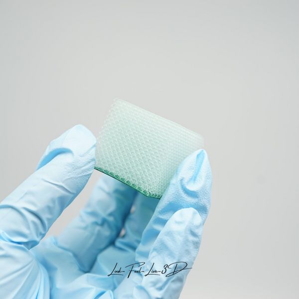 Фотополімерна смола Resione, смола для лиття C01 Transparent Green Dental Castable, 1 кг resione-C01 фото