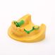 Фотополімерна смола Resione, смола для лиття C01 Transparent Green Dental Castable, 1 кг resione-C01 фото 2